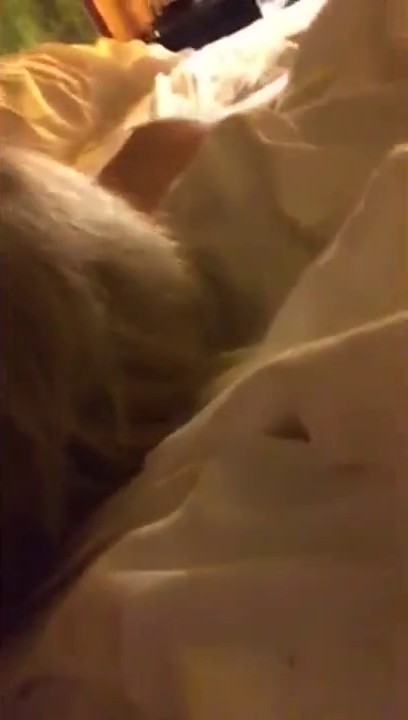 疑似好声音冠军张碧晨不雅视频据说是张碧晨视频流出，三段 全仔细一看的确好像声音跟神态都差不多 (1)