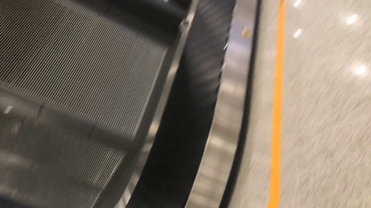 最新专挑美女厕拍第8部：独自乘机的气质少妇骚穴许久不用有点松软了