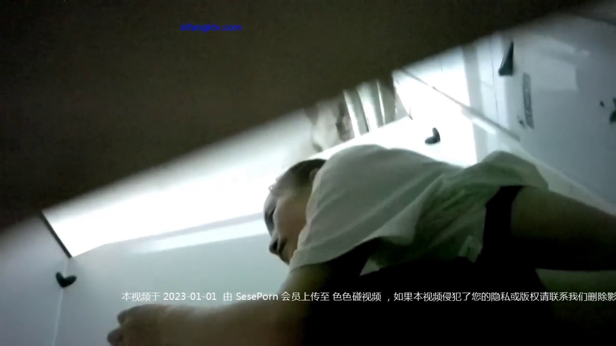 十二月最新流出  厕所偷拍 跟着女友上厕所，变态男对着女厕撒尿-1