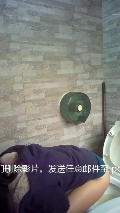 【极品厕拍】游乐场公厕美女的逼毛快要飞起来了26V（上）12