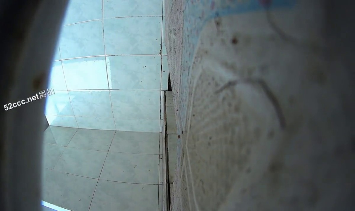 大胆坑神潜入校园大教室和购物商城蹲守女厕专挑漂亮气质美眉下手拍脸又拍方便时的样子大长腿美女蕾丝内裤勒的好紧