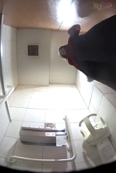 地铁站内公共女蹲厕多机位双视角偸拍下班高峰好多良家少妇年轻妹子内急方便龅牙妹的阴毛好长啊2V1