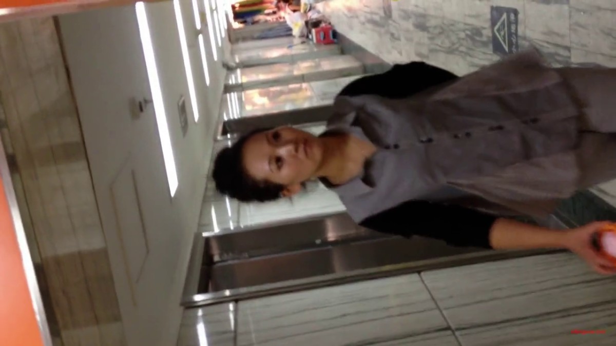 大神潜入商城女厕偷拍老板娘白嫩的小肥B