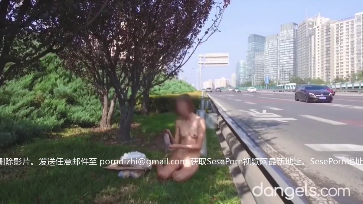 【极品稀缺 大开眼界】各种场所偷情做爱甄选《公厕+车震+网吧+饭店+路边+街边+野战+水底+野战》高清720P版 还能不能让人好好开车了