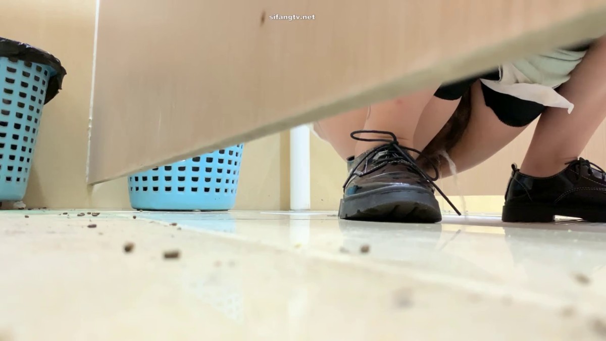 【商场女厕偷拍第七期】双镜头WC拍各路美女21V15