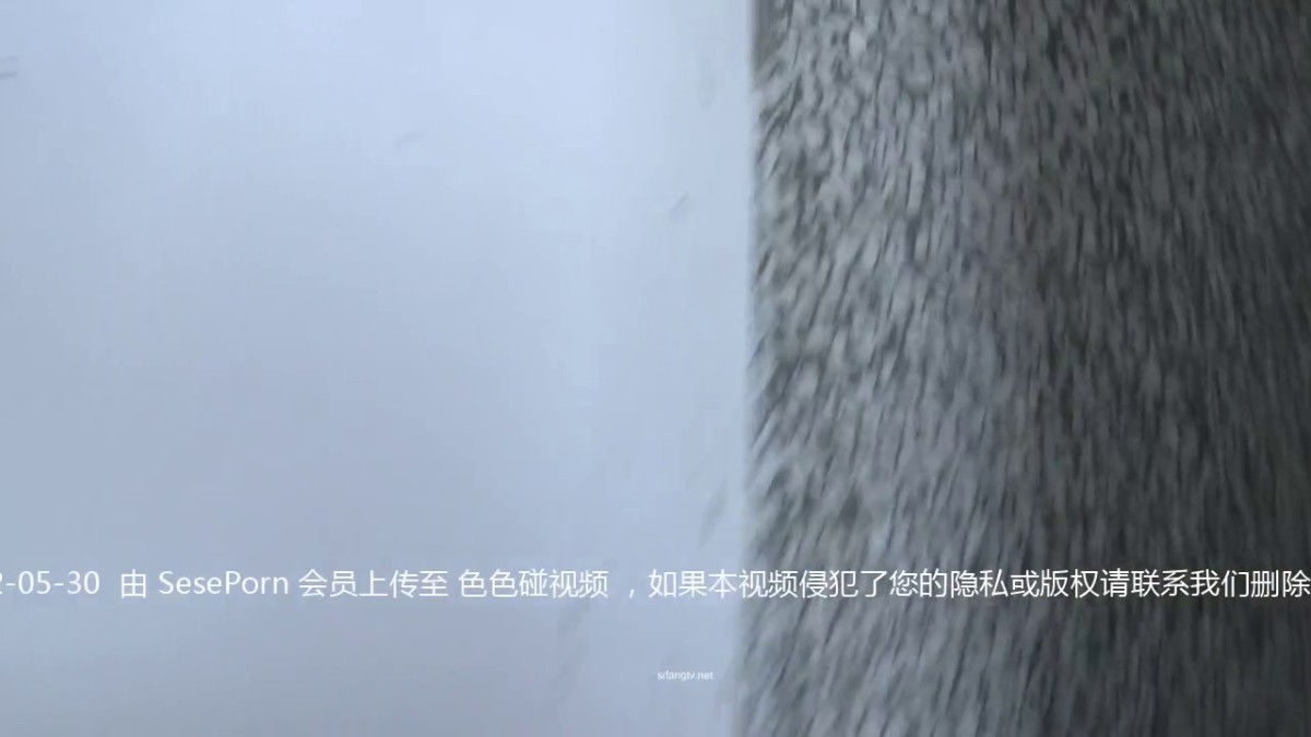 【CP推荐】闯入沟厕上帝视角系列 多数是蜜桃臀 美女多多13V-4_(new)