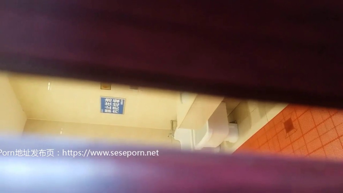 大神潜入商场女厕偷拍几位漂亮的美女嘘嘘