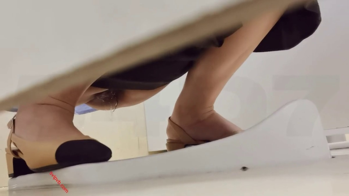 《顶级厕拍》商场女厕全景偷拍多位女神级的少妇❤️各种各样的美鲍鱼4