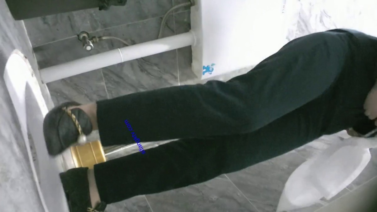 八月最新私房大神 隔墙有眼 原创厕拍 馒头肥穴勾魂黑丝透明内裤 (12)