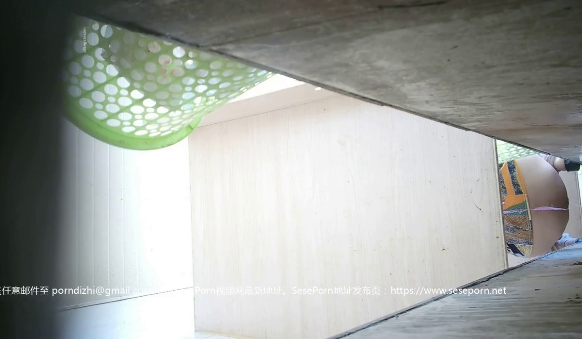 十月最新流出新城公园沟厕全景露脸沟厕偷拍美女尿尿 第5季长裙少妇-4_(new)