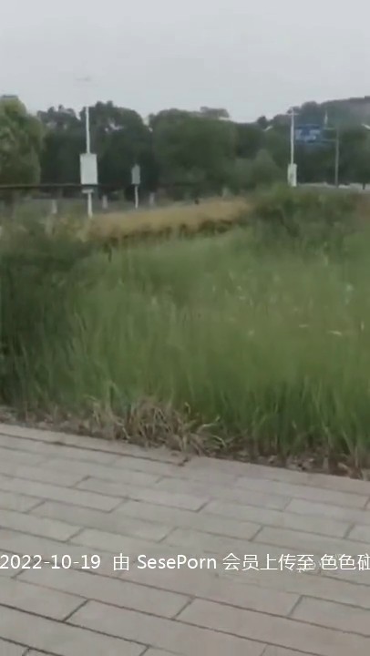 露出 漂亮黑丝大姐 来到郊外全裸郊游 闲庭信步 悠哉悠哉 丰腴成熟的身材 饱满的大奶子 浓密的逼毛 好作品