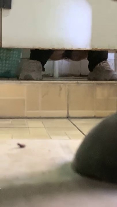 【经典厕拍】大学厕拍【四川外语学院】最全第2期8