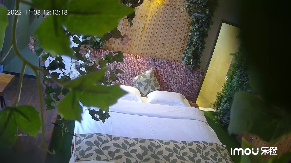 2022-11-9最新流出乐橙酒店精品偷拍 和单位身材超棒的美女开房偷情-1开头没声音