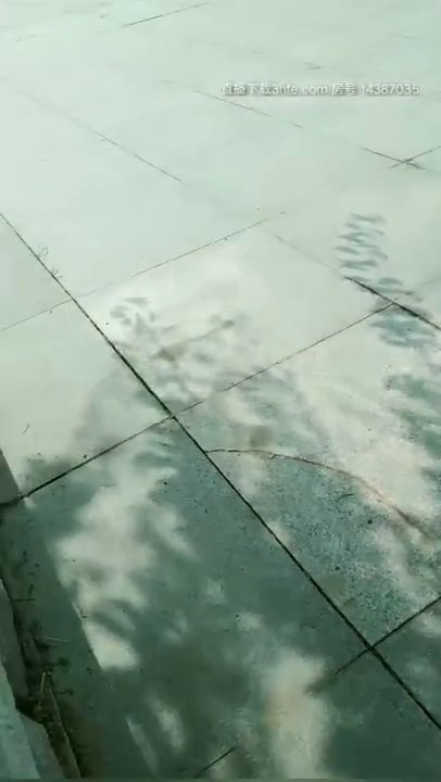 橙橙小萝莉大白天户外路边全裸露出，脱光光肚子上写字假吊口交，回车上道具爆菊呻吟