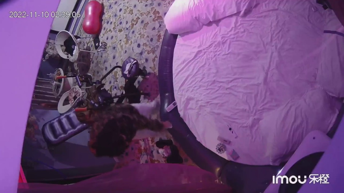 2022-11l流出乐橙酒店精品情趣炮房偷拍两对情侣 爱说大鸡巴的女孩和漂亮纹身情侣