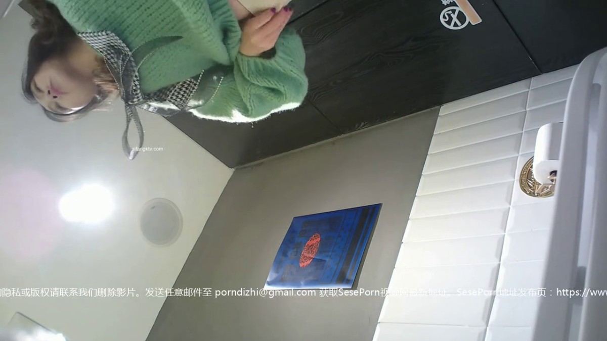 商场女厕近距离偷窥绿衣少妇的大肥鲍鱼