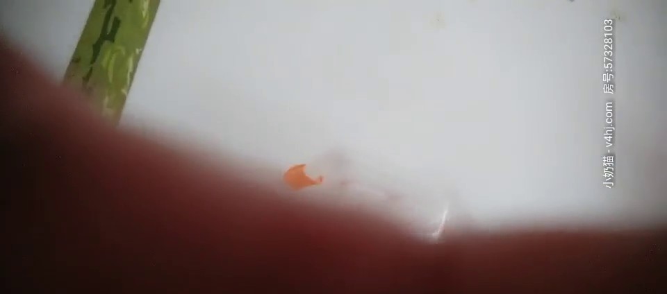 【足疗店小粉灯】偷拍 真实按摩足疗店，还在哺乳期，有奶水，大叔直接要求挤到嘴里面~2