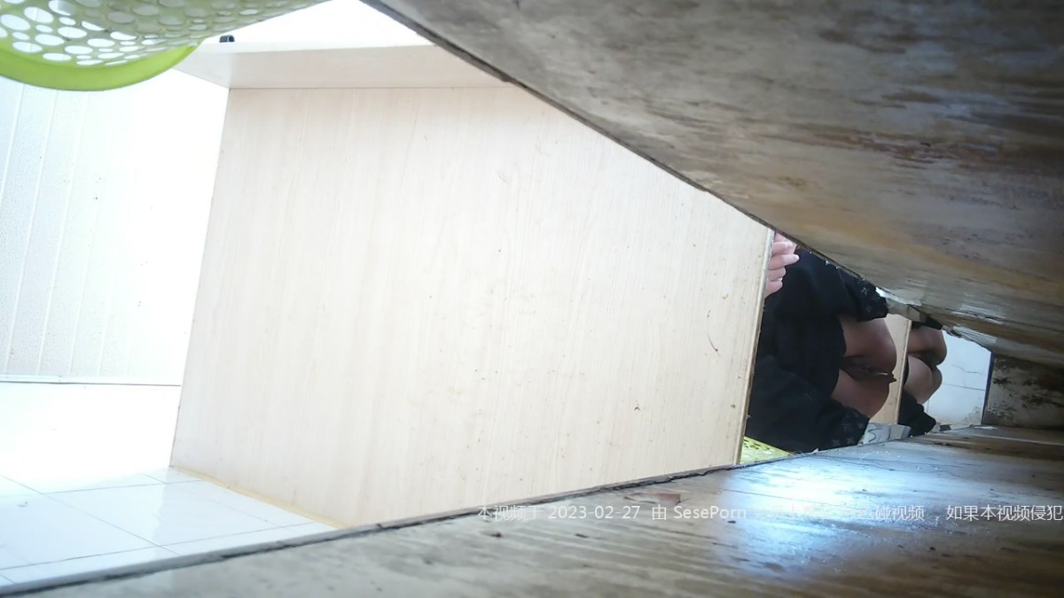 食品厂沟厕偷拍单位熟女会计保养的还不错的大肥鲍