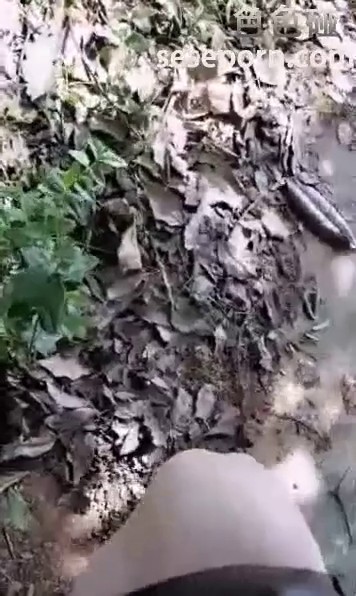 精品户外直播大美女糖糖勾引眼镜大叔到公园小树林野战矿泉水洗鸡巴口爆劈腿啪啪