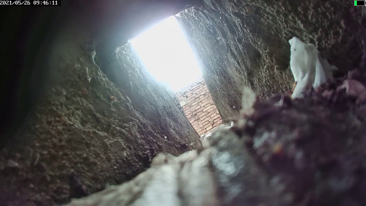 坑神逆天作品旱厕偸拍多位女性大小便㊙️各个年龄段都有这视角真是绝了肥美屁股粉嫩私处尽3