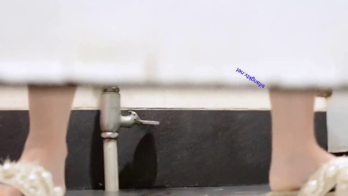 办公楼女厕全景偷拍连衣裙妹子 乌黑浓密私密区真黑