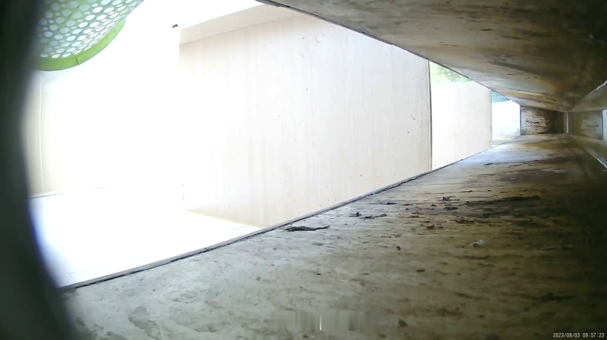 11月最新流出百元沟厕新作 绝顶视角