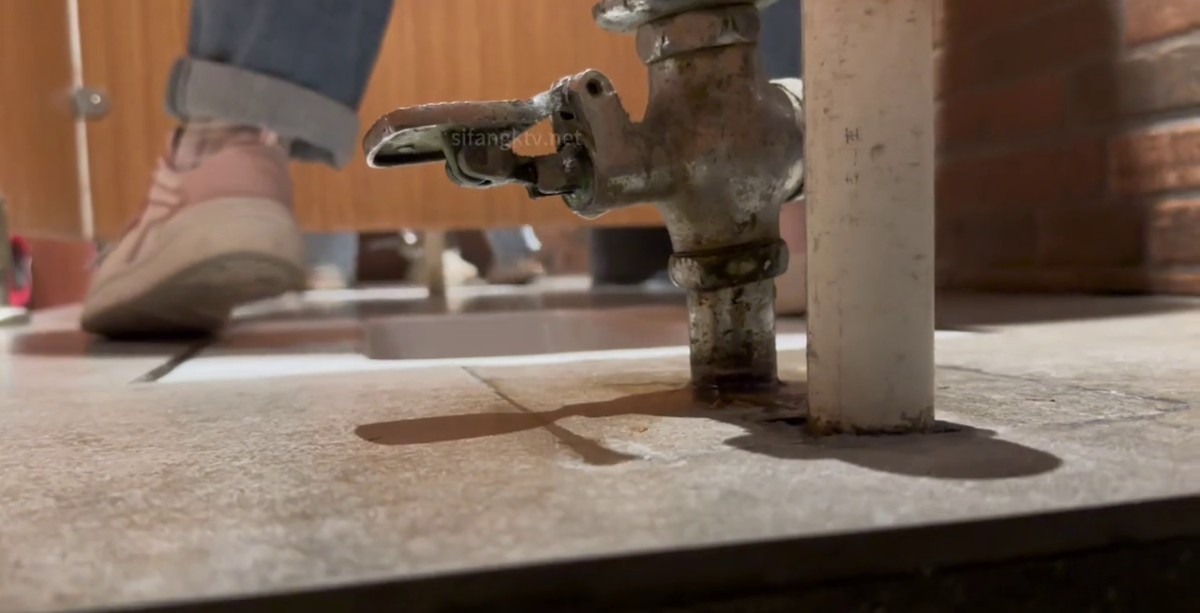 偸拍数位年轻学生小嫩妹方便，拍脸再拍逼不小心翻车了