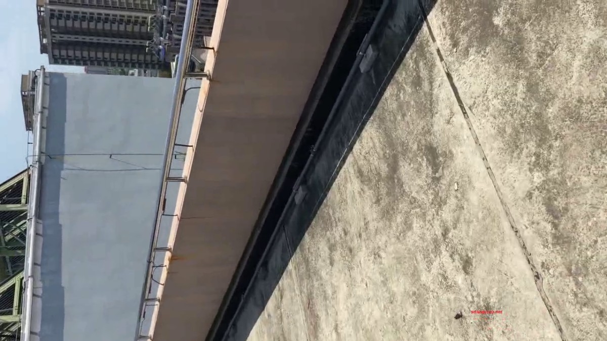 最新性奴『芝芝』淫荡母狗终极调教 无毛嫩逼美穴 无套内射中出 淫字公众露出  高清720P完整版