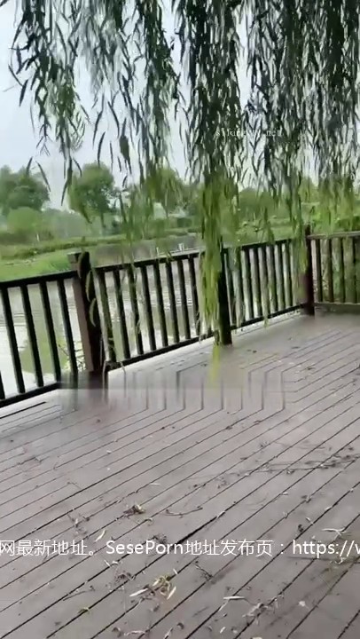 李雅公园露逼偷摸后入野战扣扣插插叫不停