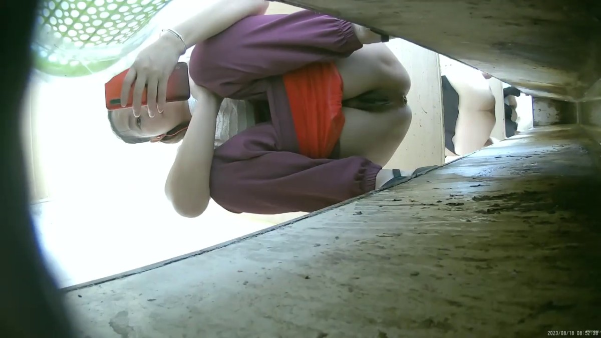 六月新流出23年8月加工厂沟厕偷拍 女工尿尿大号 绝顶视角 多逼同框临场感是十足6