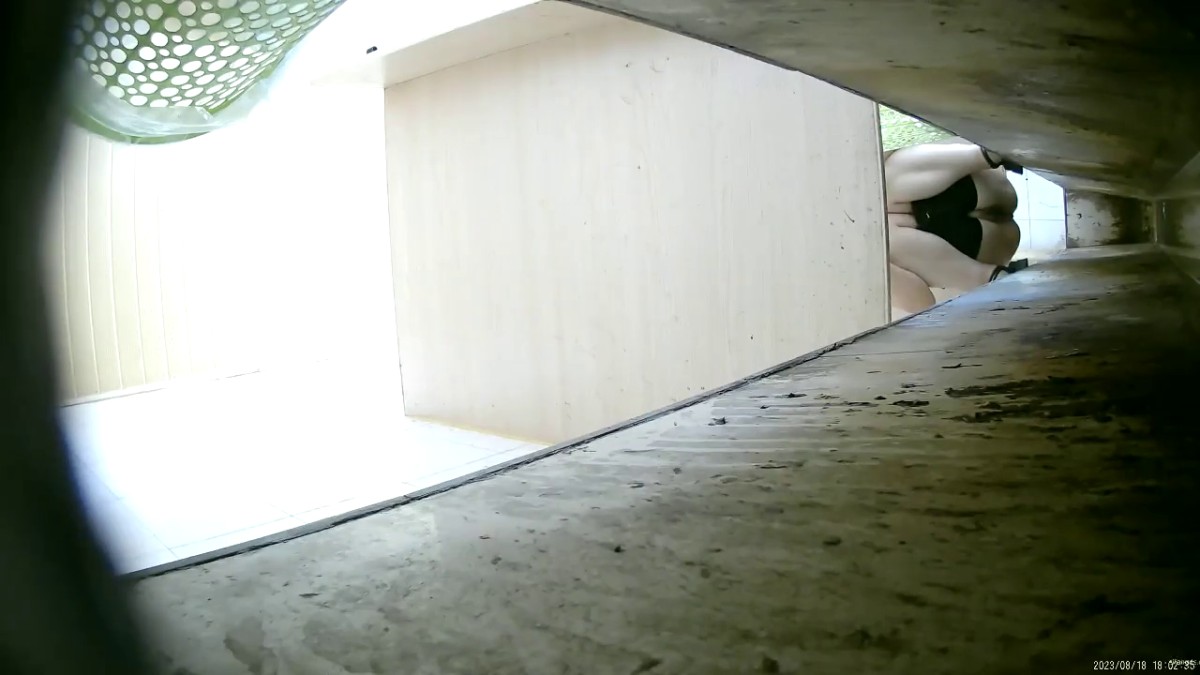 六月新流出23年8月加工厂沟厕偷拍 女工尿尿大号 绝顶视角 多逼同框临场感是十足