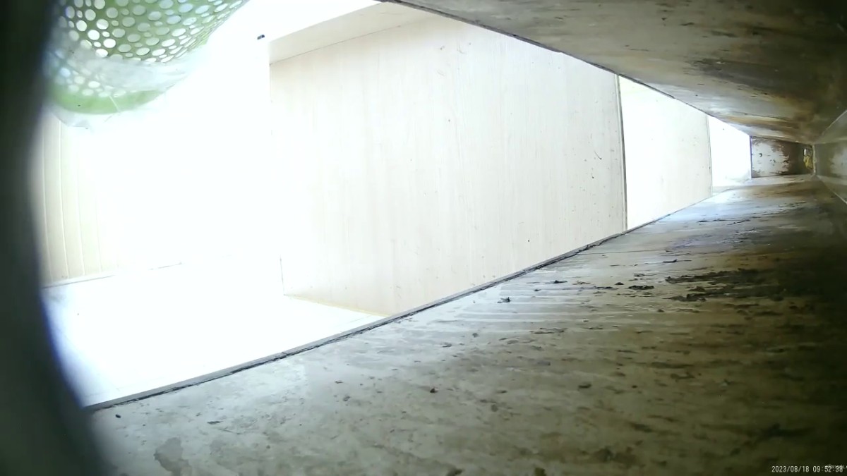 六月新流出23年8月加工厂沟厕偷拍 女工尿尿大号 绝顶视角 多逼同框临场感是十足3