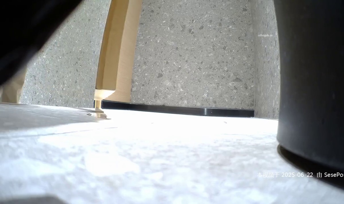 精品推荐 【精品厕拍前景】 超多漂亮妹子还有外国人和白虎13