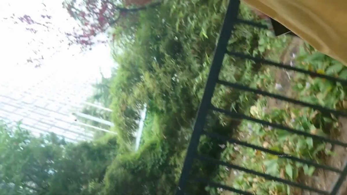 魔手 外购流出《撩裙、露毛、靓妹美少妇》高颜值丁字裤靓妹 丁字裤长毛毛美女。几乎赤裸黄裙极品美眉（长镜头）