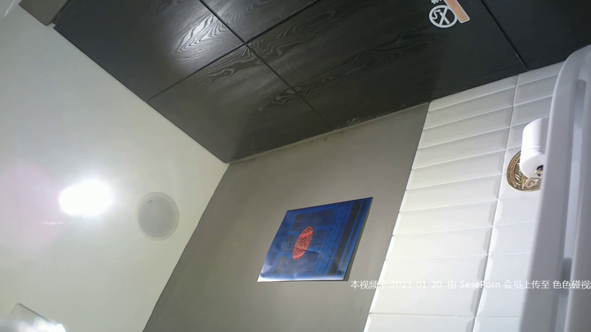 商场女厕近距离偷窥黄衣美女的小黑鲍