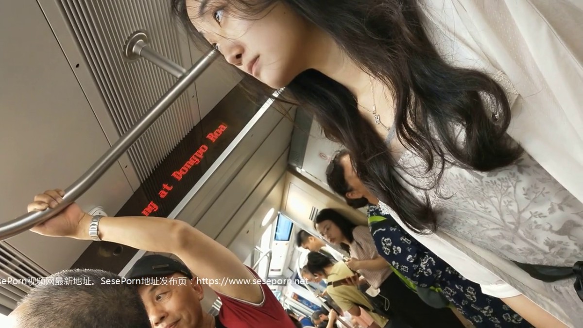 地铁站尾随身材气质绝佳素颜白领 镂空内两侧毛和鼓凸阴部迷死人