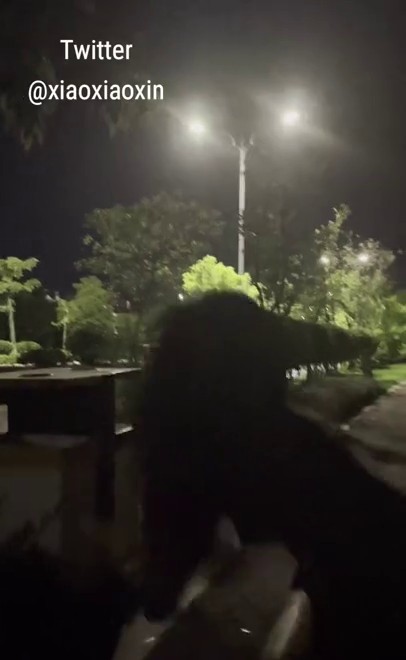 极品人妻 身材苗条网红小小星 深夜激情~全裸公园大街小巷 饱满的肉体充满欲望，各种露出三点