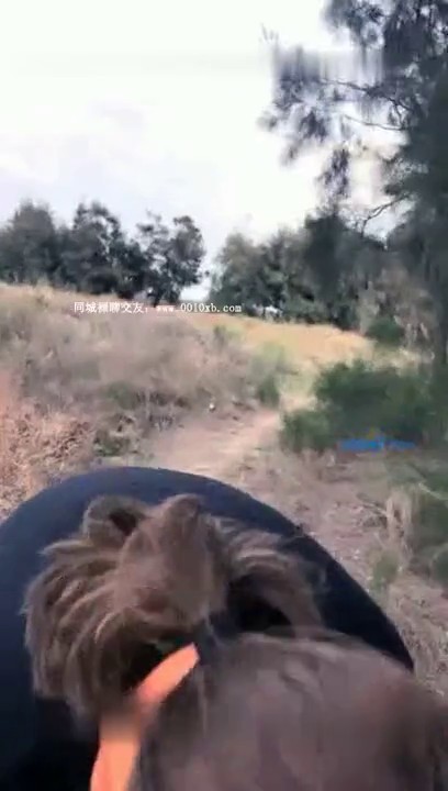 91c仔纯情小护士吉泽明步抢先版