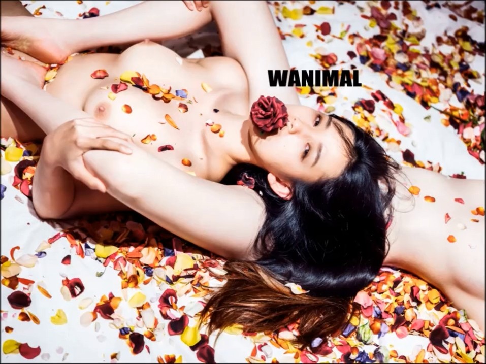 色影大师王动WANIMAL官方出品18年6月VIP视图集之冷情艳色の欲望 极度香艳超诱惑 高清私拍150P 高清1080P版