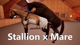 Stallion fucks Mare (Vaginal) | VR Stallion
