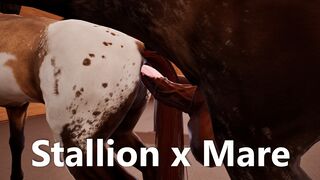 Stallion fucks Mare (Anal) | VR Stallion