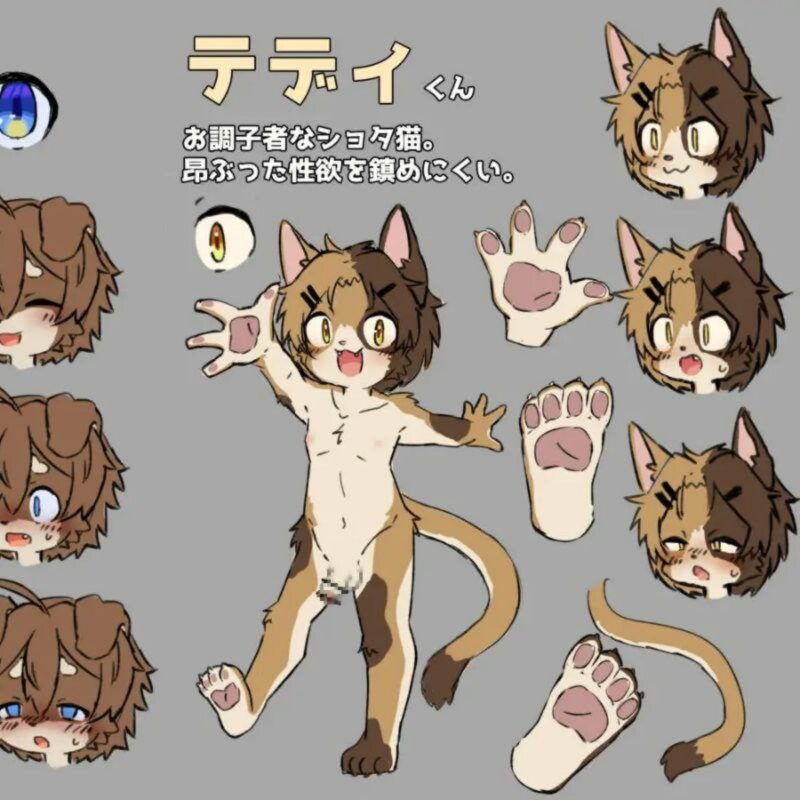 兽耳正太调教游戏～壁咚恶作剧模拟器～