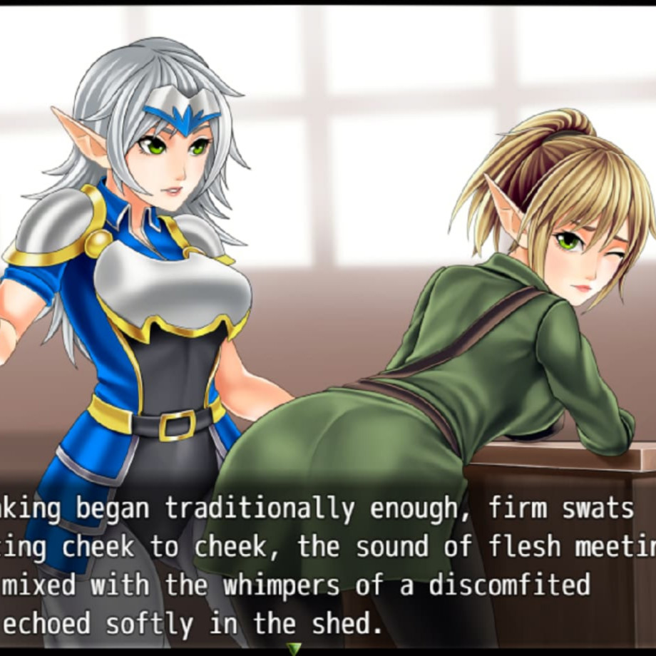 精灵圣骑士的奇遇