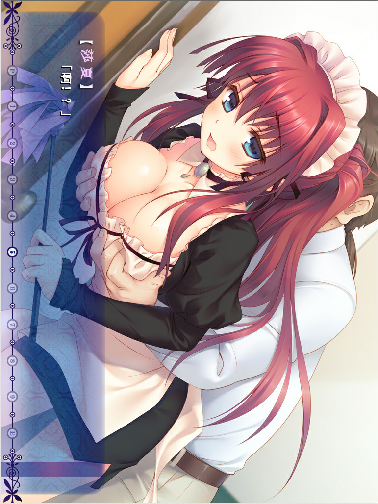 来打注射剂吧！～催眠女仆和宠物小姐～