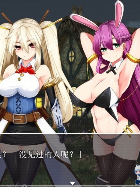 淫乱的圣骑士：Holy Knight Bitch！