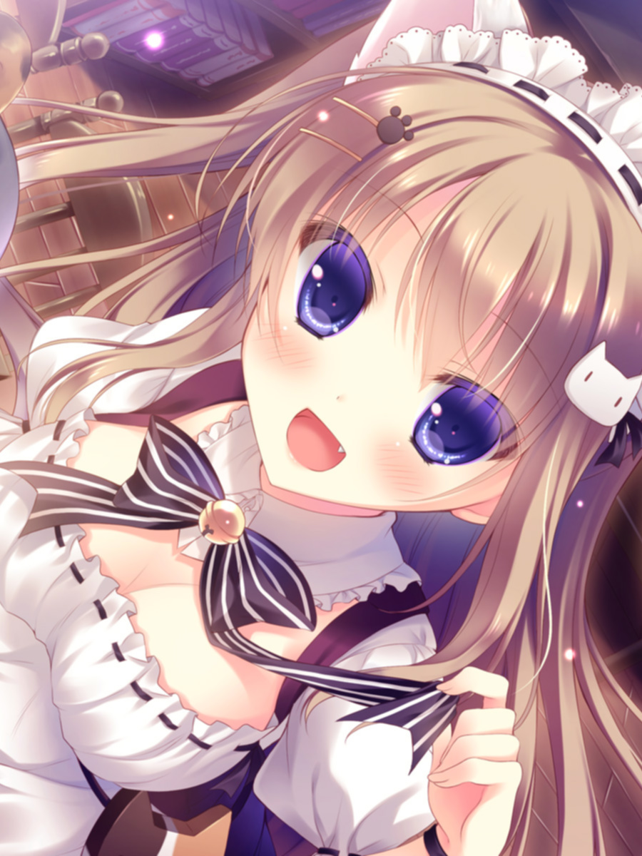 喵咖啡玛奇朵 ～有猫咪的咖啡店的色色事情～