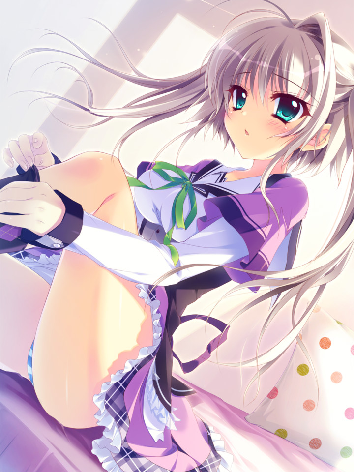 恋花绽放樱飞时