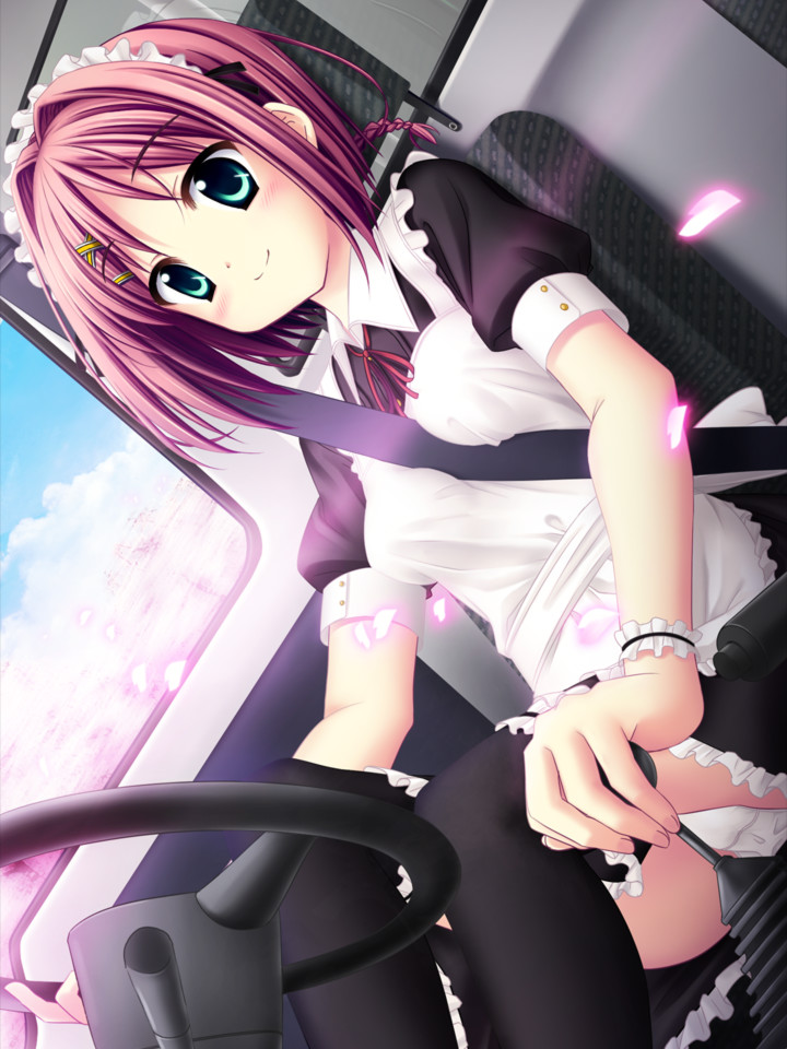 樱之诗 -在樱花之森上飞舞-