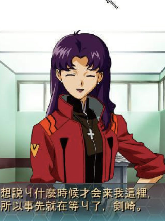 新世纪福音战士：钢铁的女友2nd