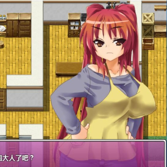 ToHeart2 迷宫旅人 (民间俗称：环姐的婚后幸福生活)